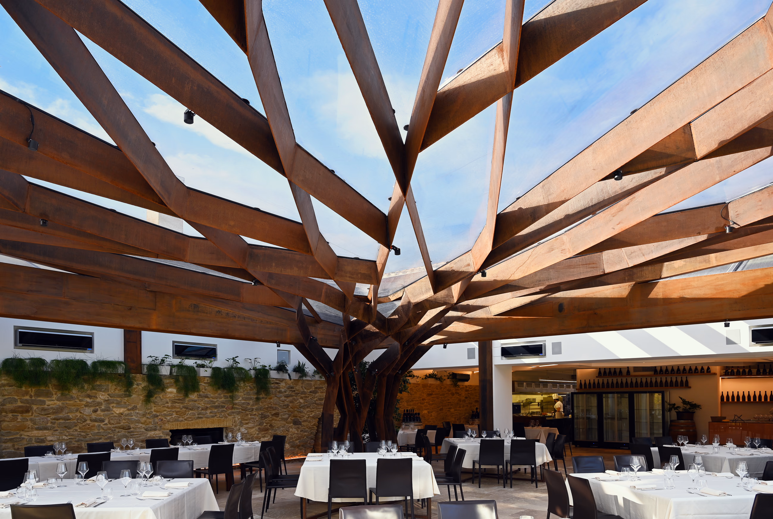 L’Albero e il Cielo
